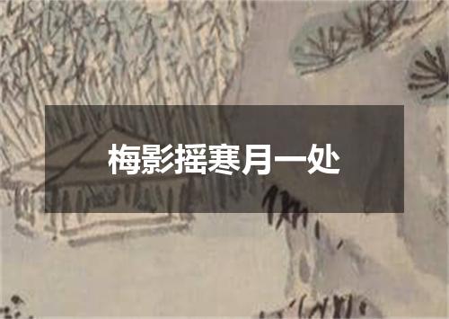 梅影摇寒月一处