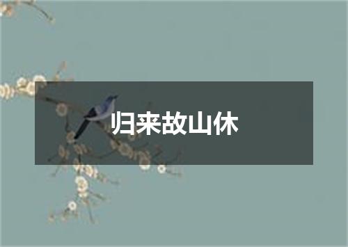 归来故山休