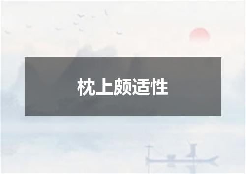 枕上颇适性