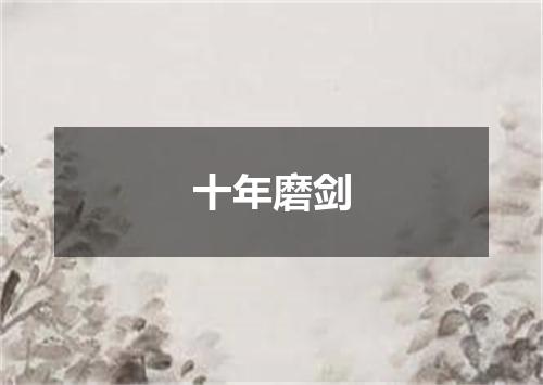 十年磨剑