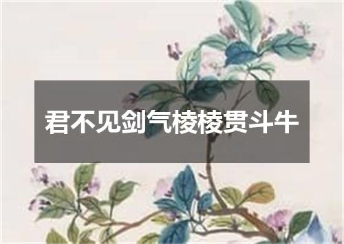 君不见剑气棱棱贯斗牛