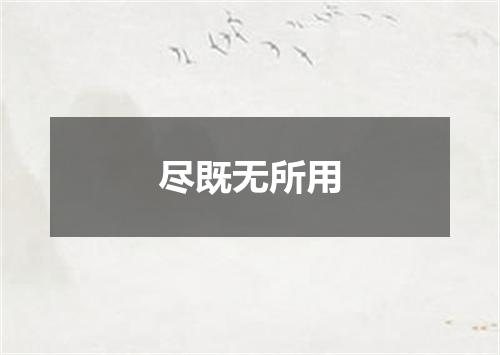 尽既无所用