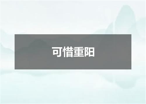 可惜重阳