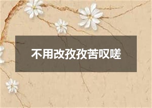 不用改孜孜苦叹嗟