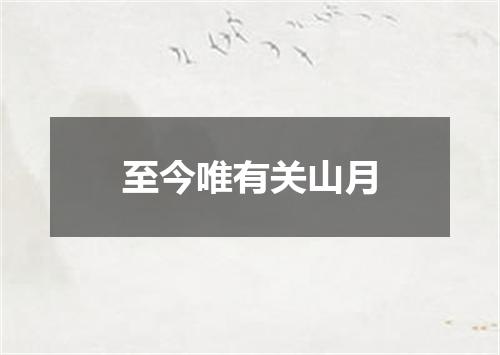 至今唯有关山月