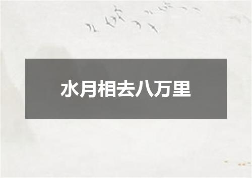 水月相去八万里