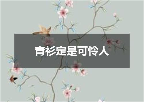 青衫定是可怜人
