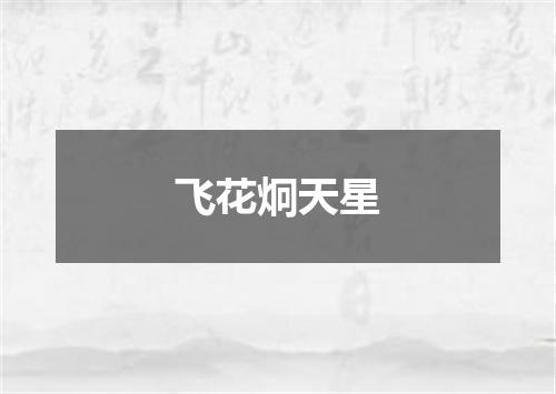 飞花炯天星