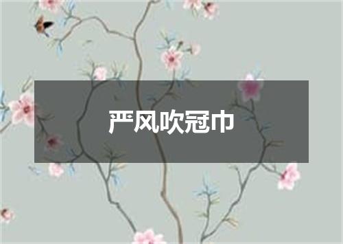 严风吹冠巾