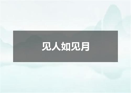 见人如见月
