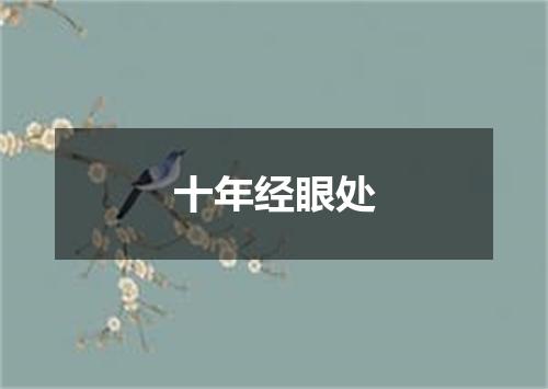 十年经眼处