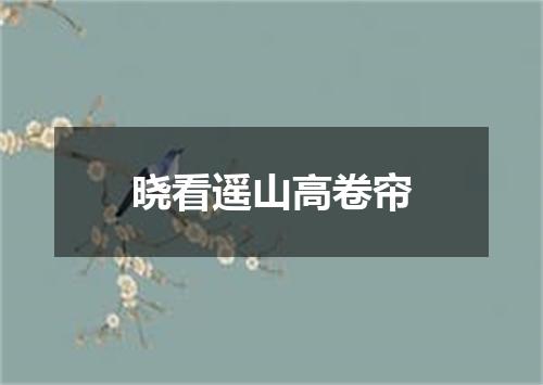 晓看遥山高卷帘