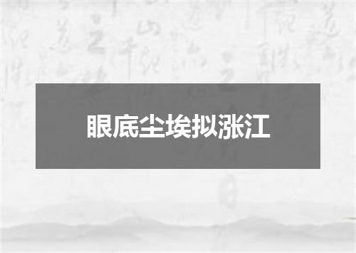 眼底尘埃拟涨江
