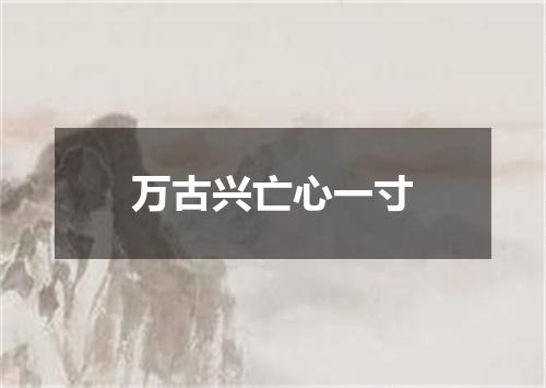 万古兴亡心一寸