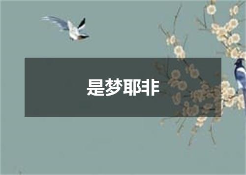 是梦耶非