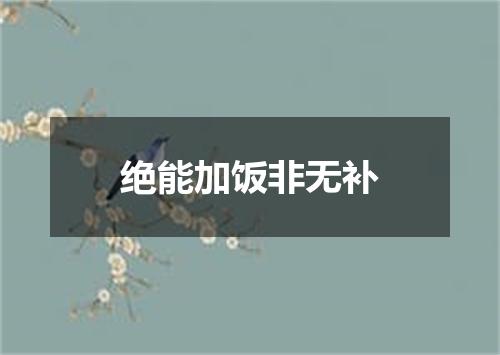 绝能加饭非无补