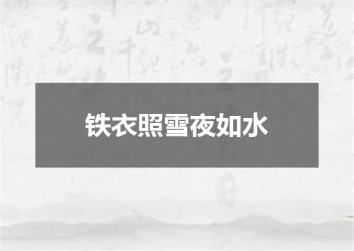 铁衣照雪夜如水