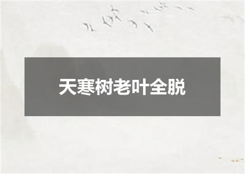 天寒树老叶全脱