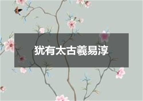 犹有太古羲易淳