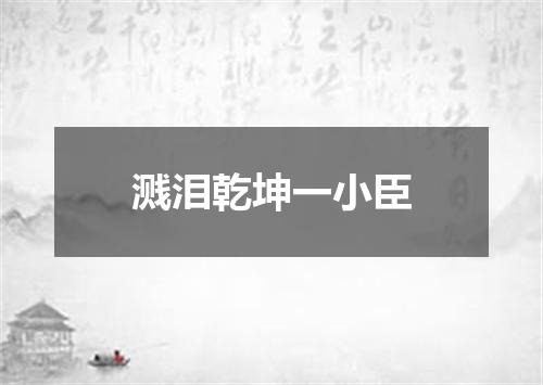 溅泪乾坤一小臣