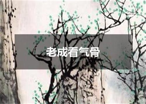 老成看气骨