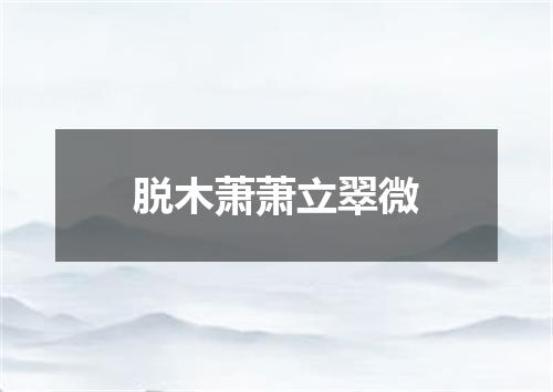脱木萧萧立翠微
