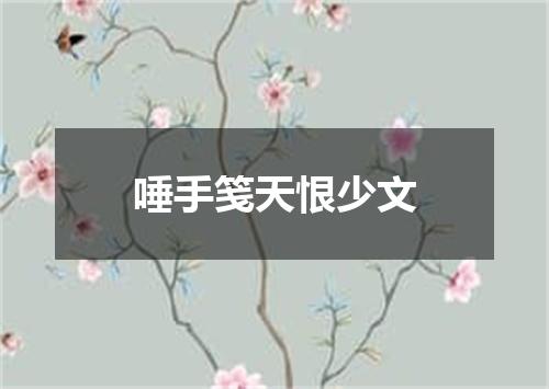 唾手笺天恨少文