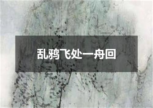 乱鸦飞处一舟回