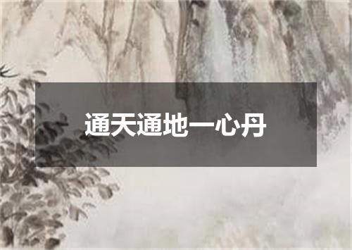 通天通地一心丹