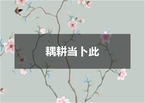 耦耕当卜此