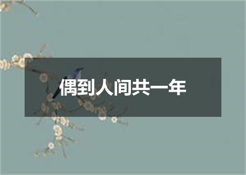 偶到人间共一年