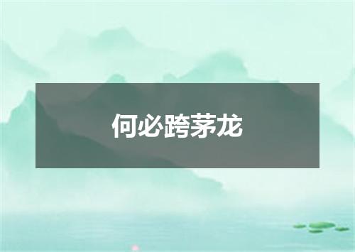 何必跨茅龙