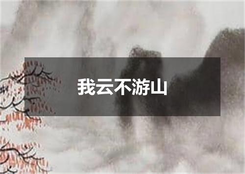 我云不游山