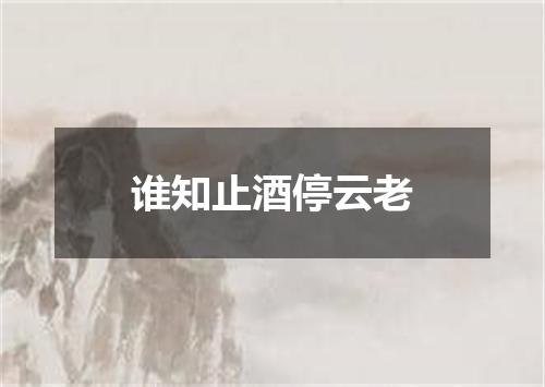 谁知止酒停云老