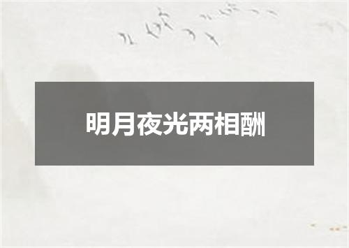 明月夜光两相酬
