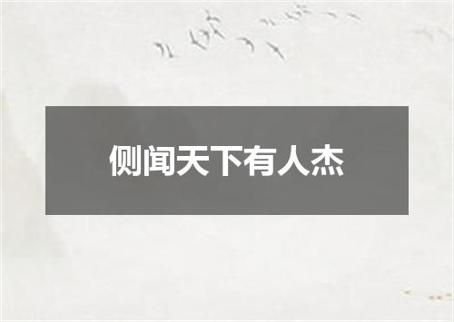 侧闻天下有人杰