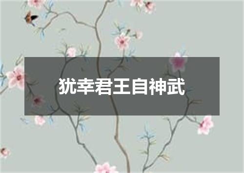 犹幸君王自神武