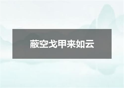 蔽空戈甲来如云