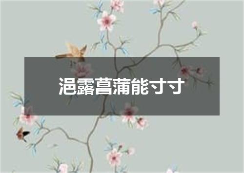 浥露菖蒲能寸寸