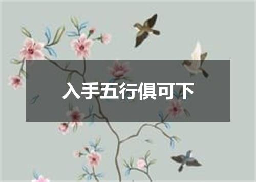 入手五行俱可下
