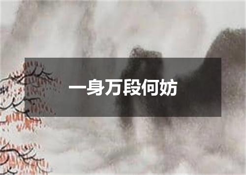 一身万段何妨