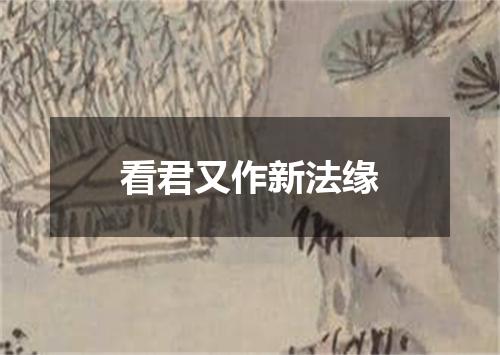 看君又作新法缘