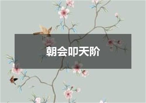 朝会叩天阶