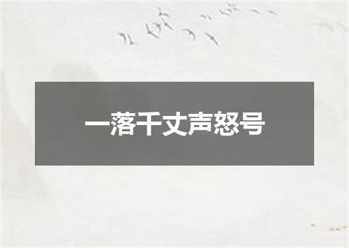 一落千丈声怒号