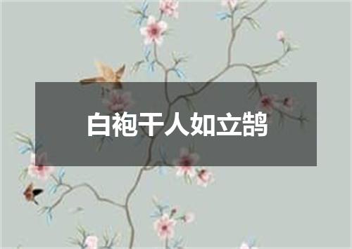 白袍干人如立鹄