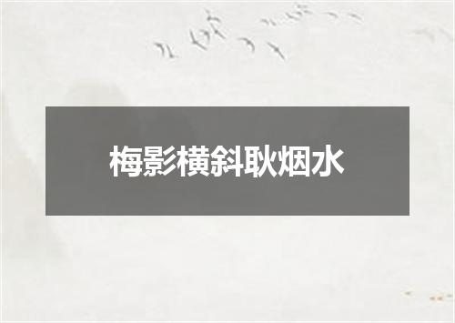 梅影横斜耿烟水