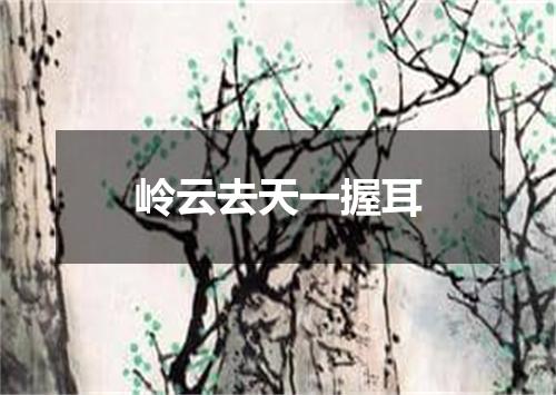 岭云去天一握耳