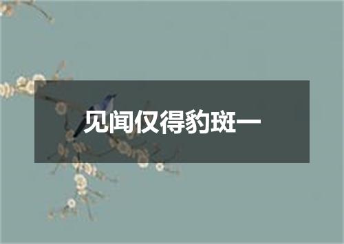 见闻仅得豹斑一