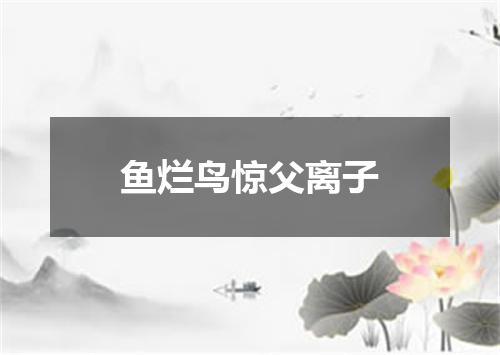 鱼烂鸟惊父离子