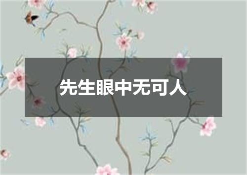 先生眼中无可人